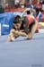 12gUCLA4D_05654_KatD